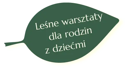 START lissscie 01 03 02